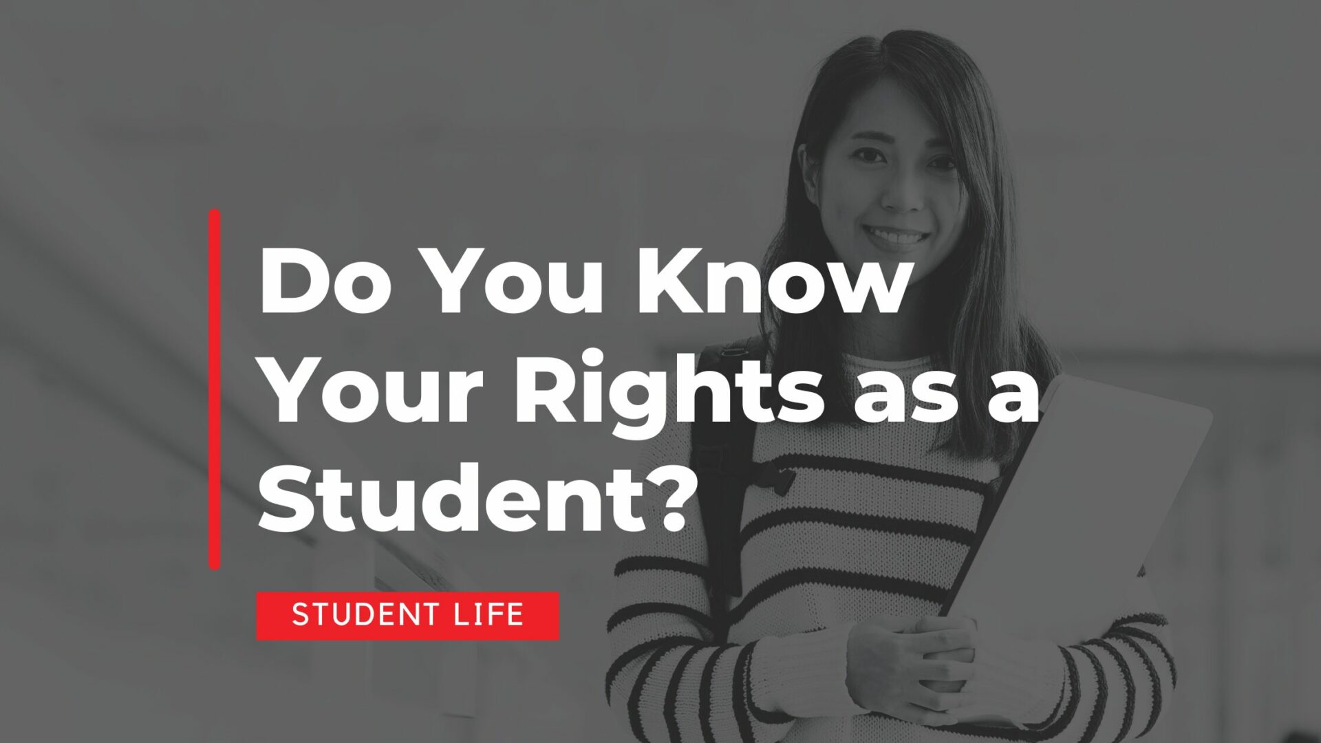 Your Rights as a Student at Mindroom Innovation
